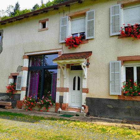 Le Logis Aux Digitales Apartment La Croix-aux-Mines Bagian luar foto