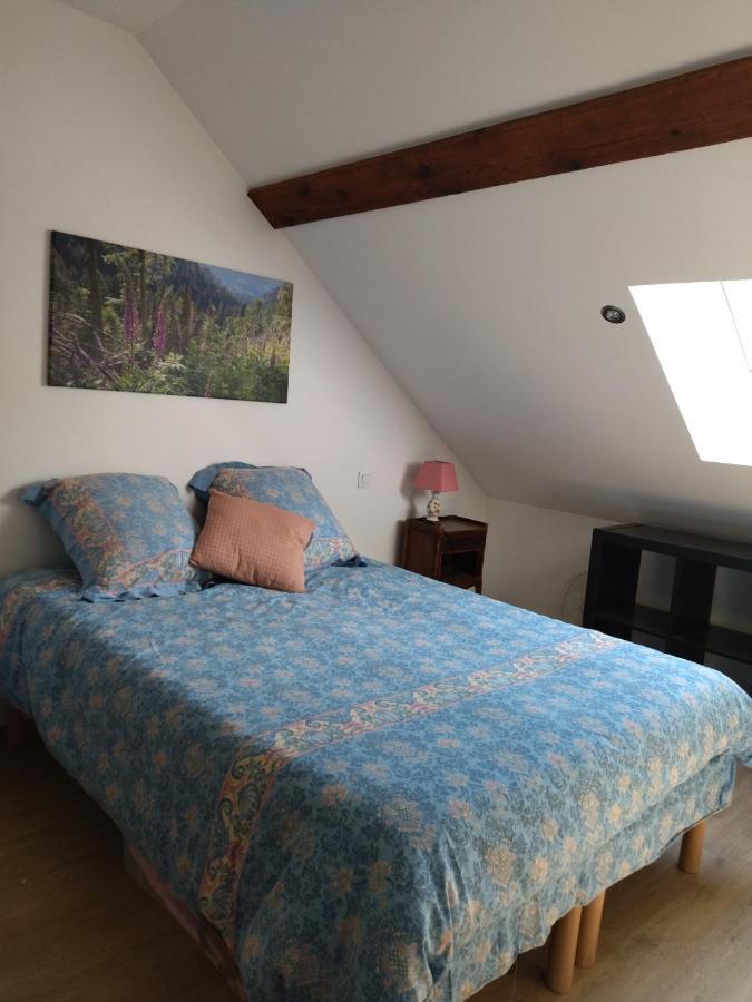 Le Logis Aux Digitales Apartment La Croix-aux-Mines Bagian luar foto