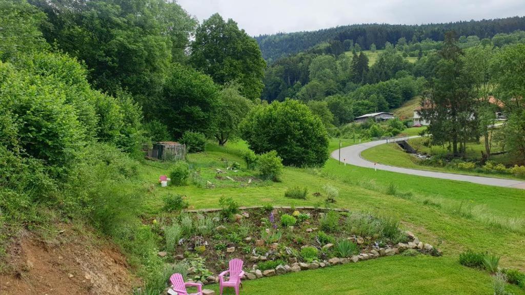 Le Logis Aux Digitales Apartment La Croix-aux-Mines Bagian luar foto
