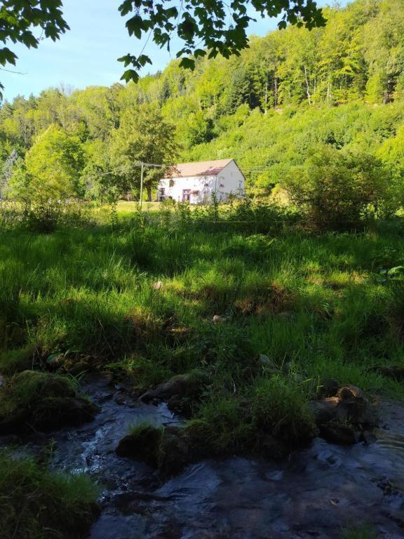 Le Logis Aux Digitales Apartment La Croix-aux-Mines Bagian luar foto