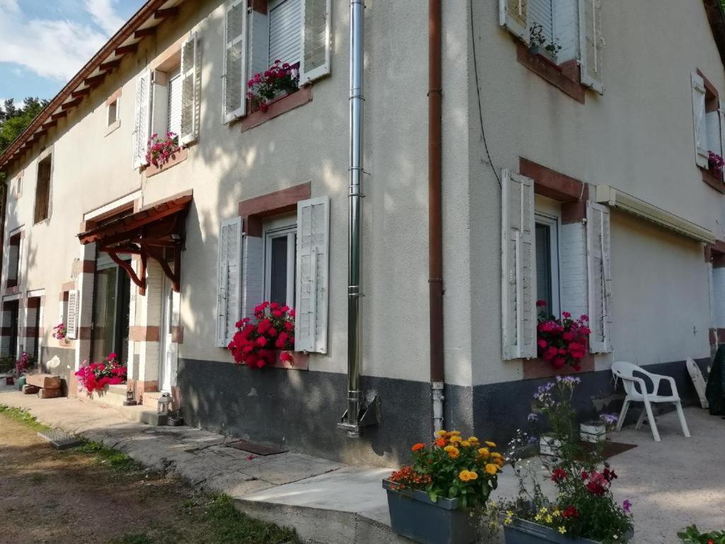 Le Logis Aux Digitales Apartment La Croix-aux-Mines Bagian luar foto