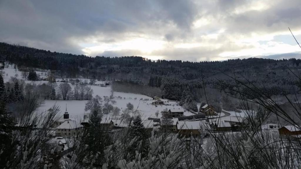 Le Logis Aux Digitales Apartment La Croix-aux-Mines Bagian luar foto