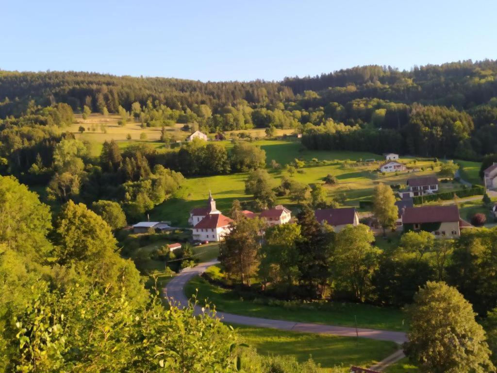 Le Logis Aux Digitales Apartment La Croix-aux-Mines Bagian luar foto