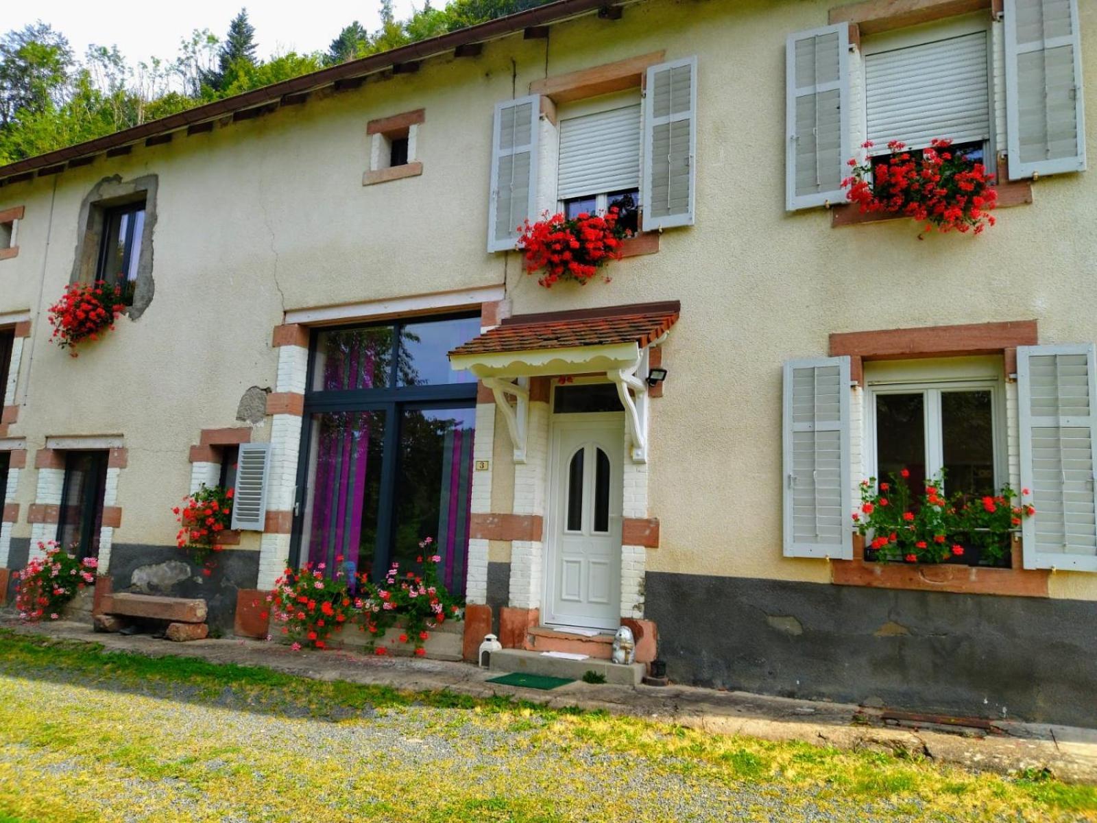 Le Logis Aux Digitales Apartment La Croix-aux-Mines Bagian luar foto