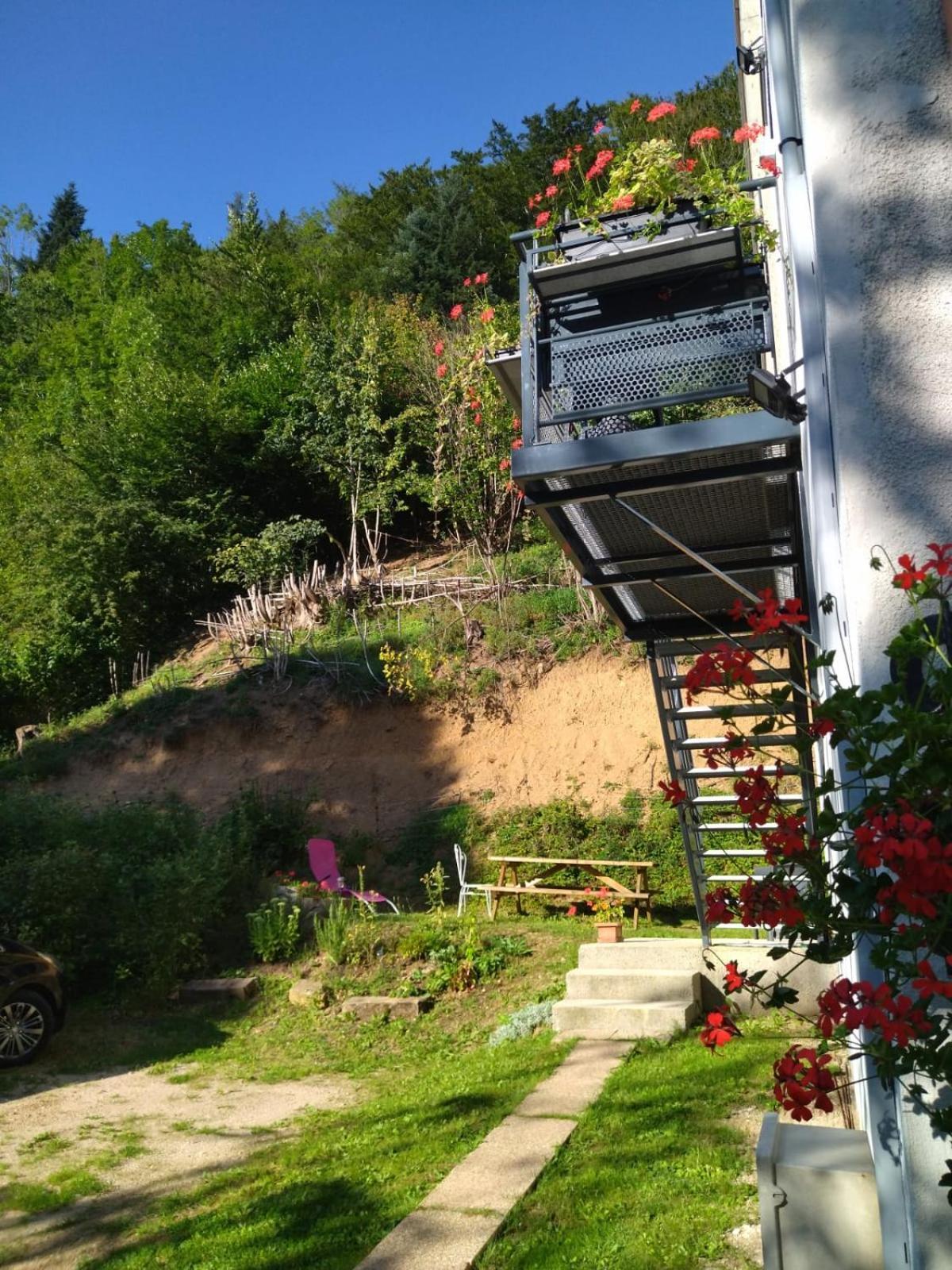 Le Logis Aux Digitales Apartment La Croix-aux-Mines Bagian luar foto